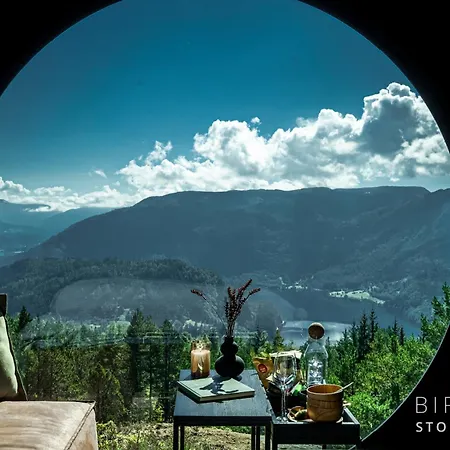 Birdbox Storehesten Bygstad