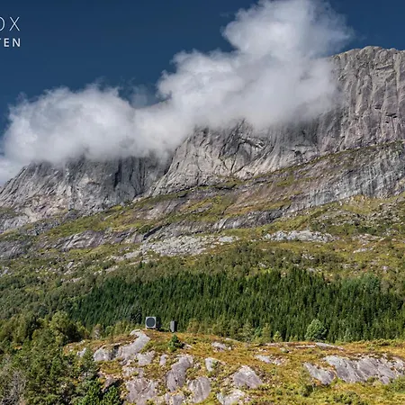 Birdbox Storehesten *