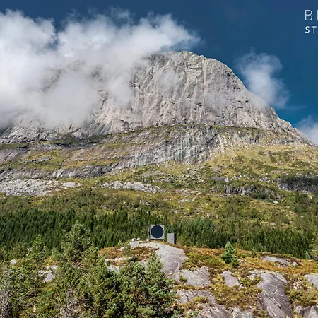 Birdbox Storehesten Bygstad