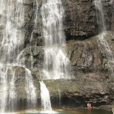 Birdbox Storehesten Bygstad