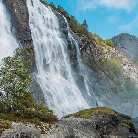 Birdbox Storehesten 豪华帐篷